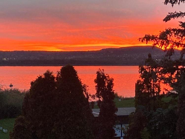 Sunset Beach Apartman Balatonfůzfő Dış mekan fotoğraf